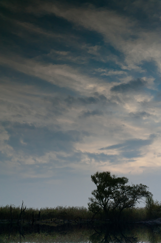 水面の空