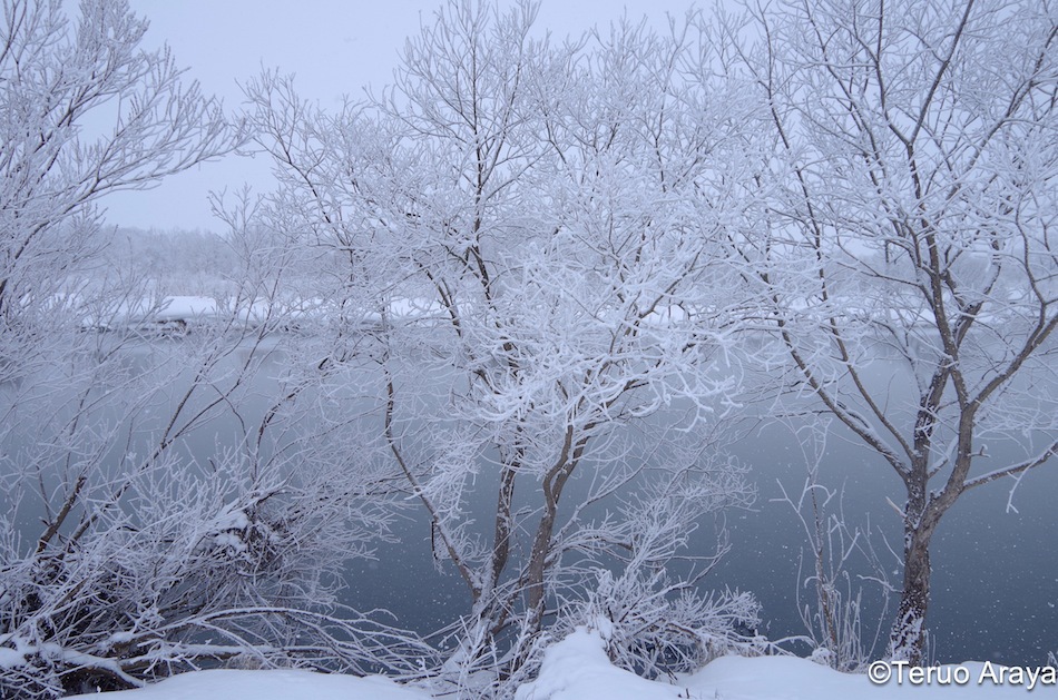 Cold blue