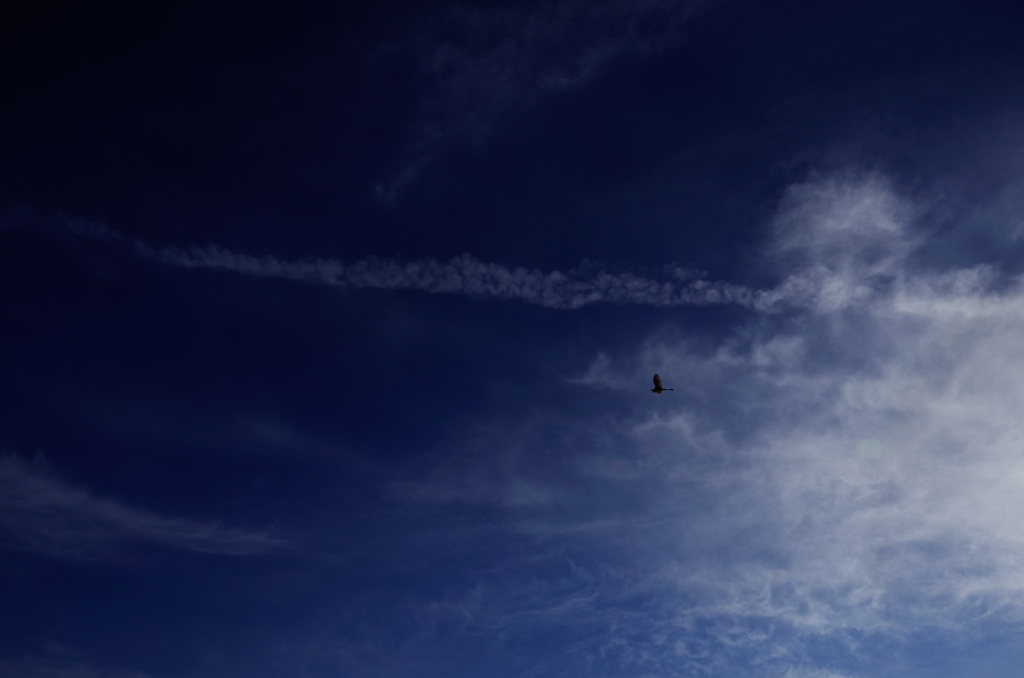空／遠くへ