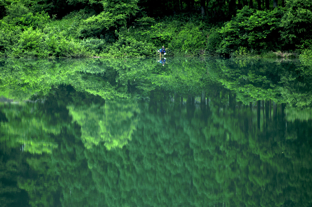 釣り天国