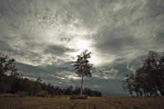 Monologue tree
