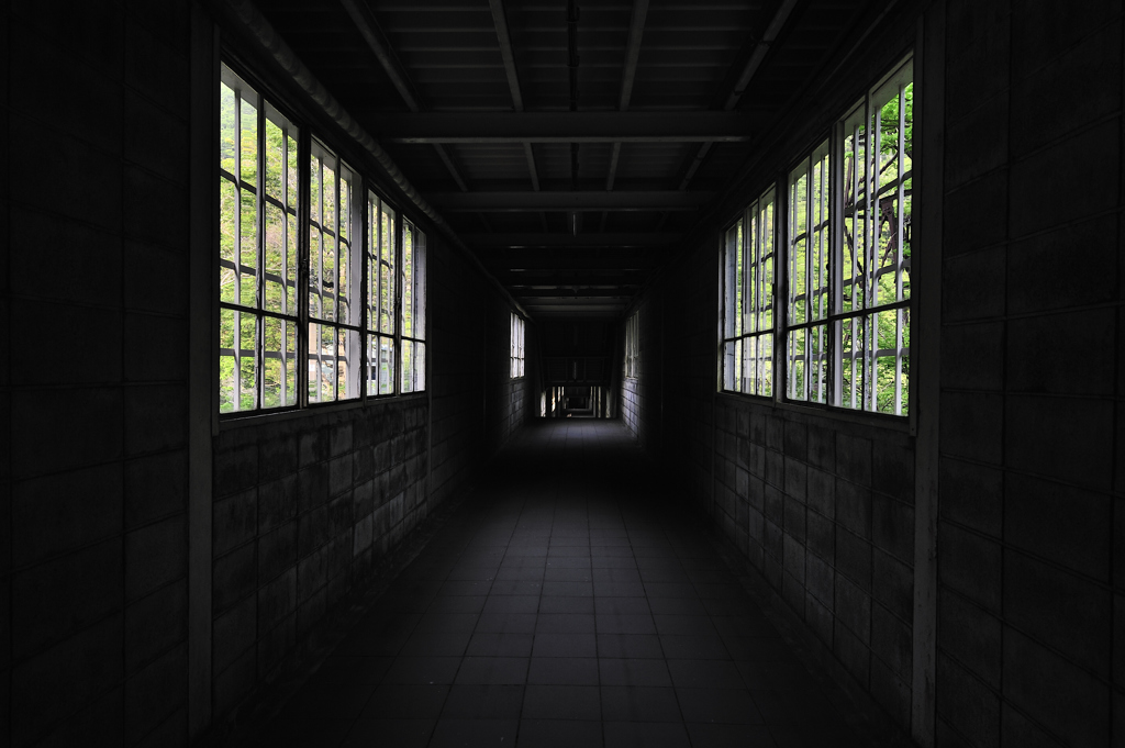 窓