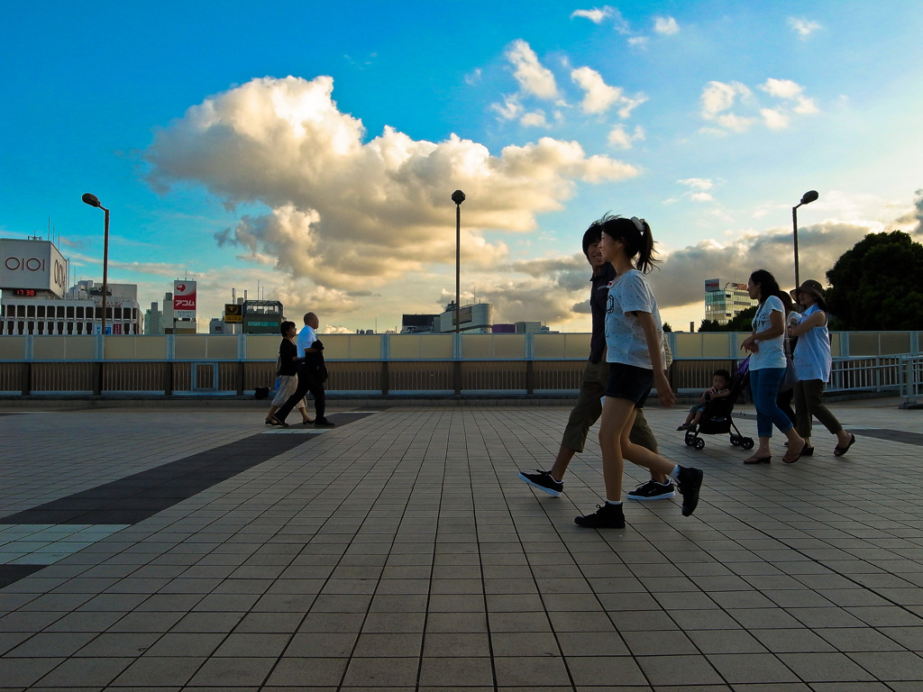 夕暮れの橋
