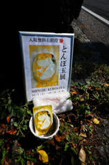 道端