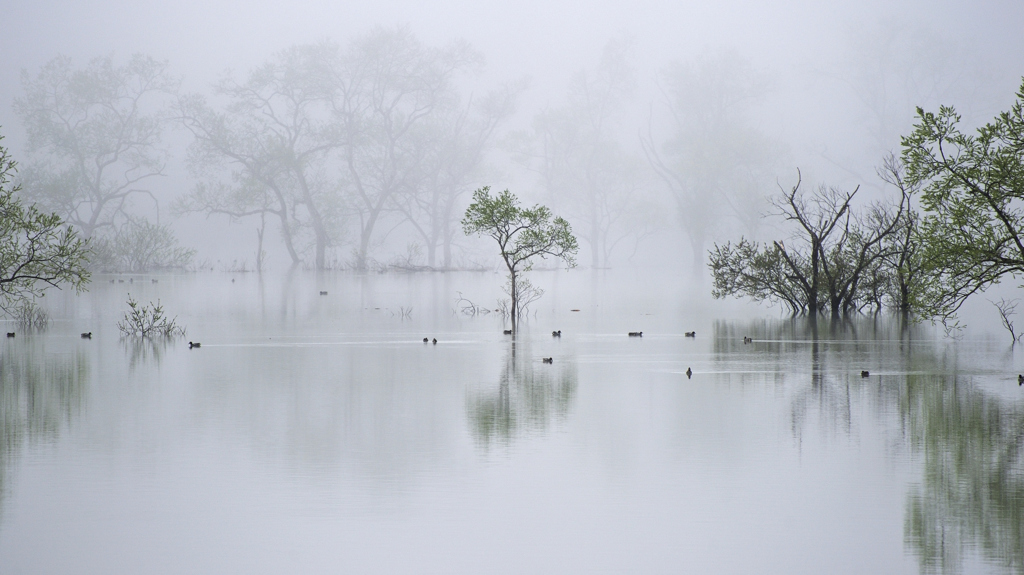 Calm morning