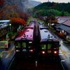 紅葉電車