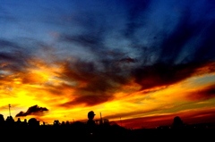 江戸川花火大会’10　3