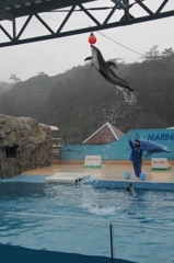 スーパージャンプ
