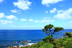 種子島の海岸