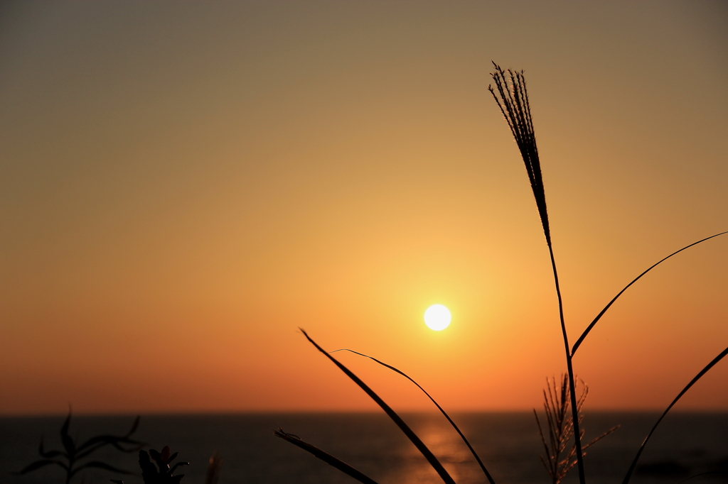 秋の夕日