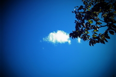 浮雲