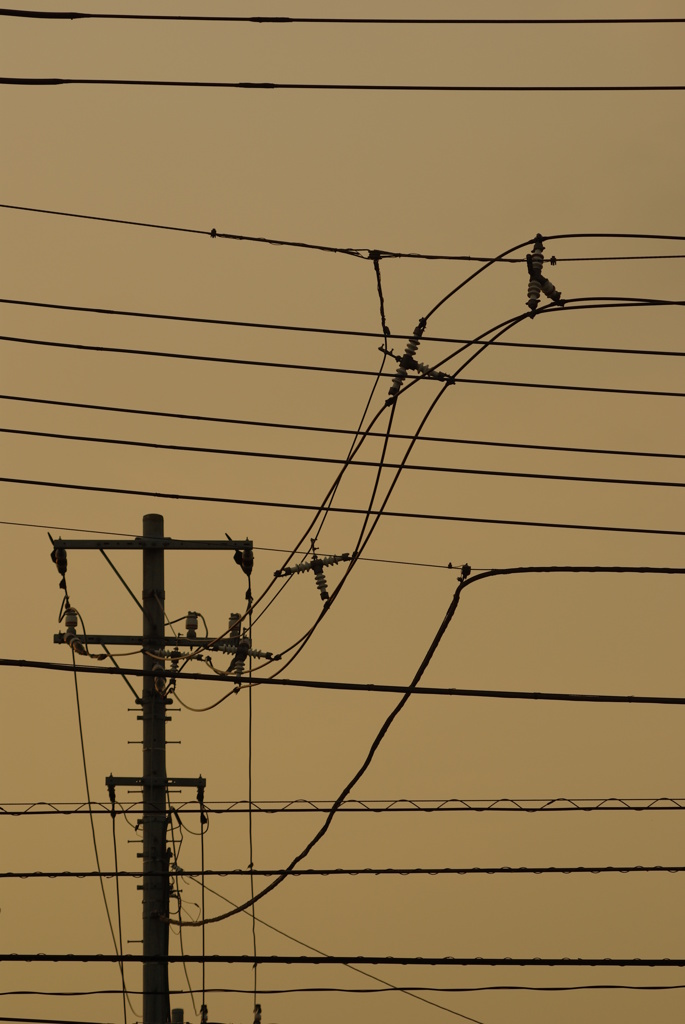 line