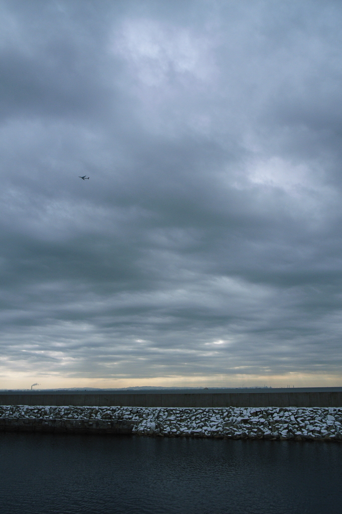 flight