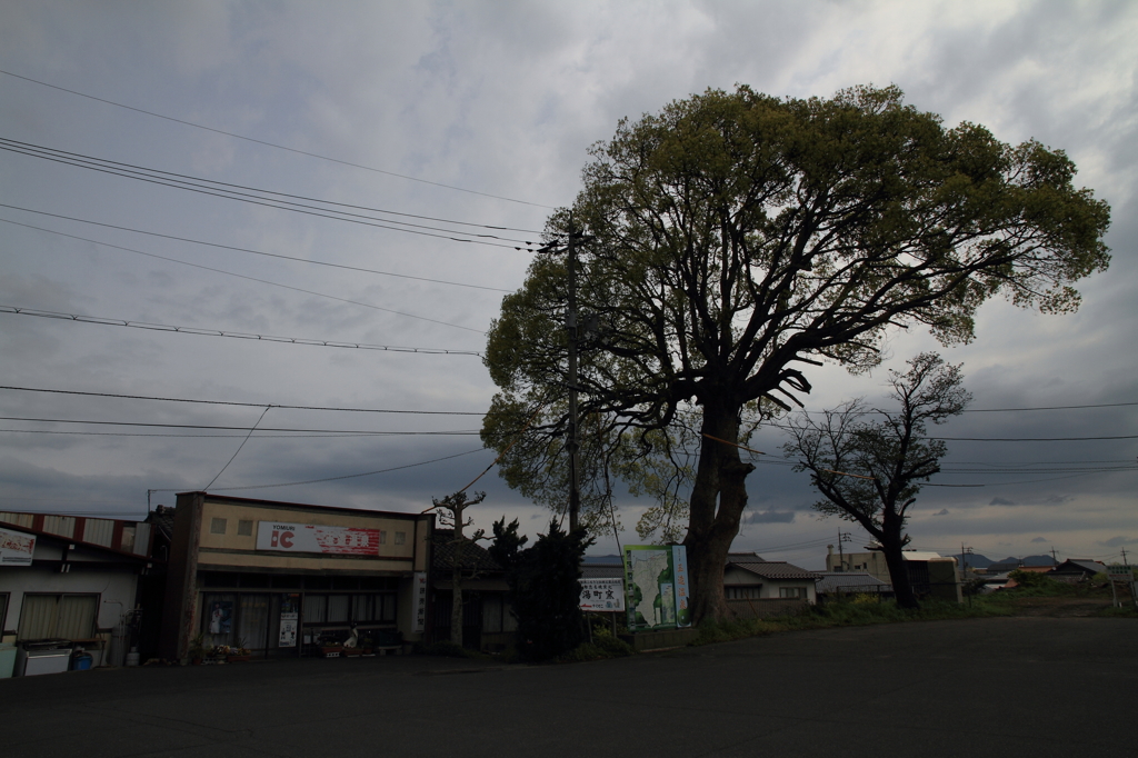 風の吹く町
