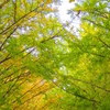 季節の足音