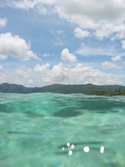 石垣島の海にて