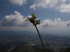 雲より高く