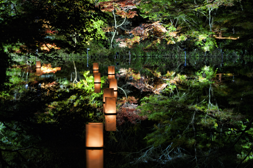 symmetry