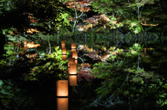 symmetry