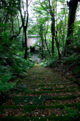 苔寺