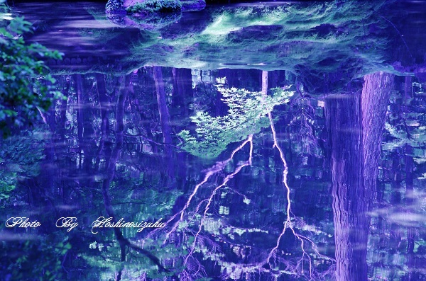 水の世界に…想う…
