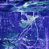 水の世界に…想う…