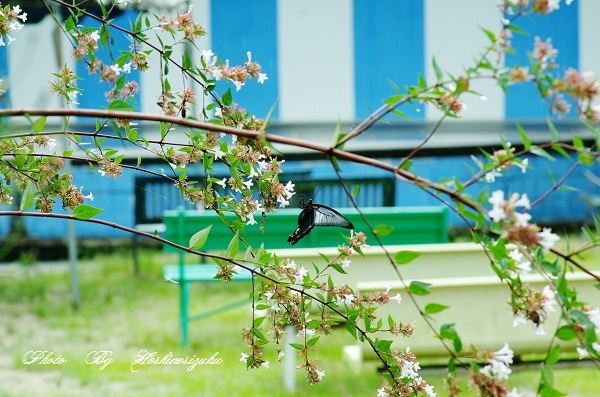 雨上がり…