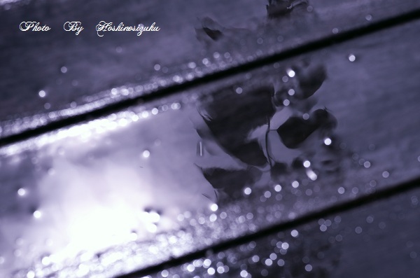 雨上がり…