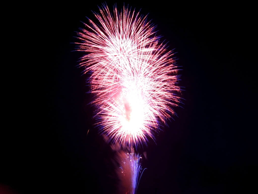 花火2011(5)
