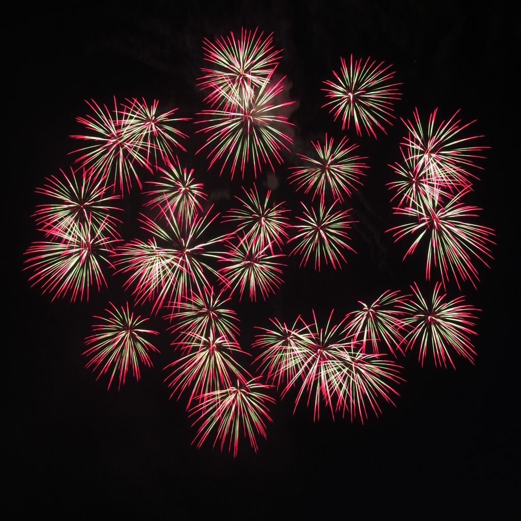 花火2011(1)