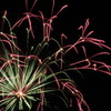 花火2010(2)