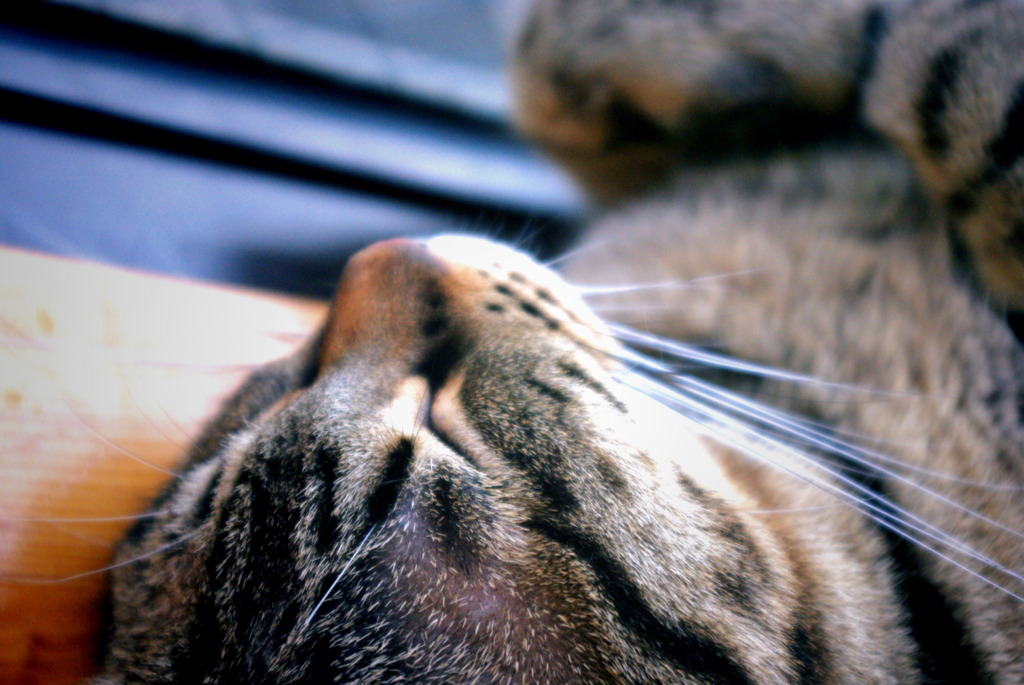 眠り