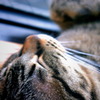 眠り