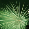 花火2010(5)