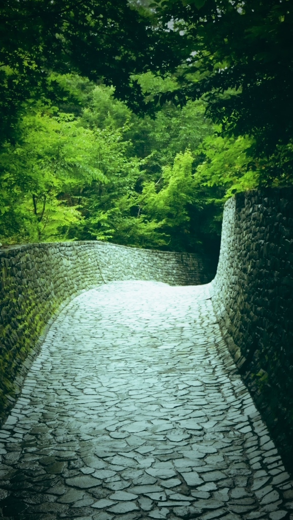 その先へ