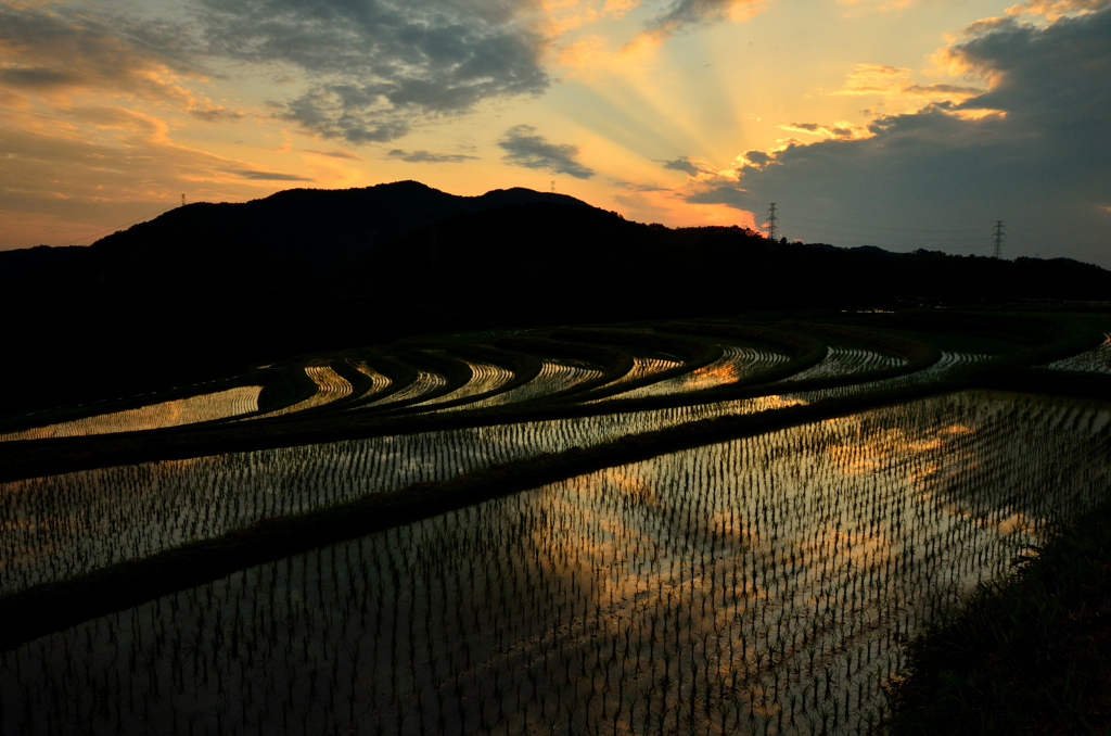 田園風景