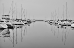 人工霧 (Artificial fog)