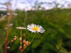 河原にて。