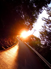 夕日ロード