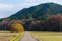 本宮山