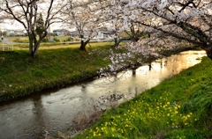 春の小川