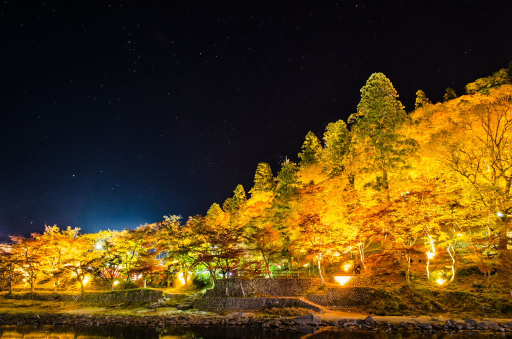 星降る夜と黄金の山