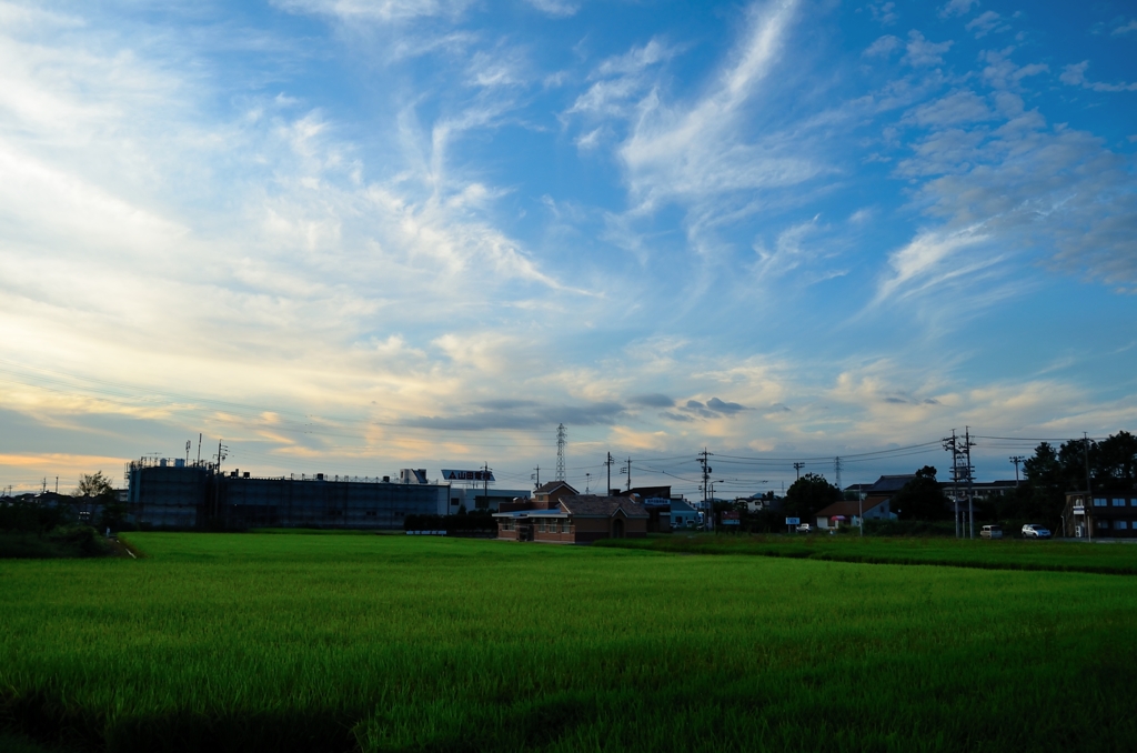 秋ノ空