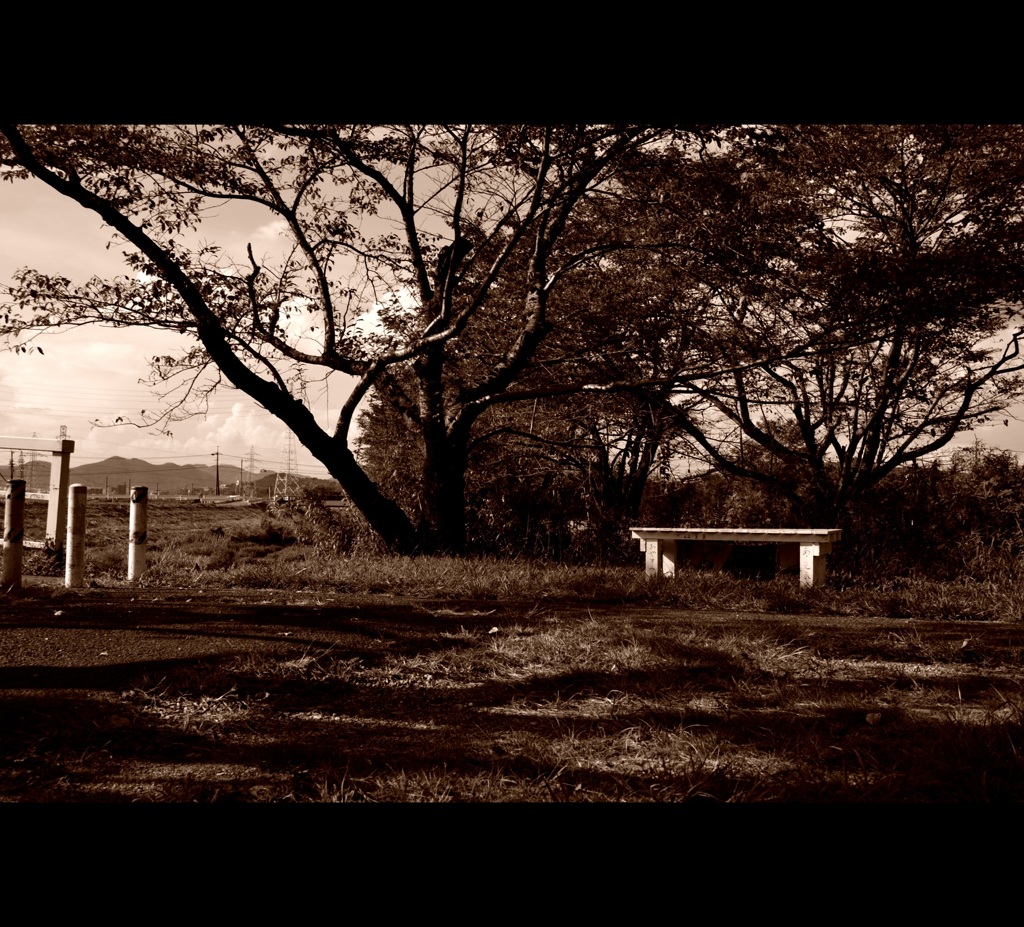 sepia 2