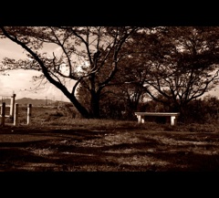sepia 2