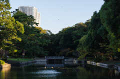 浜離宮恩寵庭園