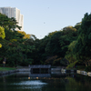 浜離宮恩寵庭園