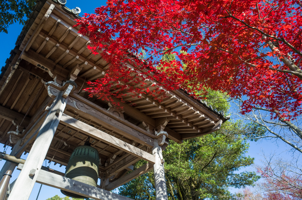 寂光院