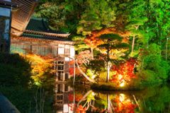 長瀞の紅葉ライトアップ