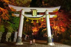 長瀞の紅葉ライトアップ